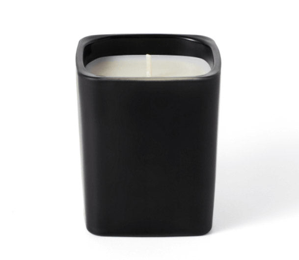 SEVENTEEN [DINO] Artist-Made Collection  [Dinosoul Wine Glass Set, Black Night Candle Option choose]