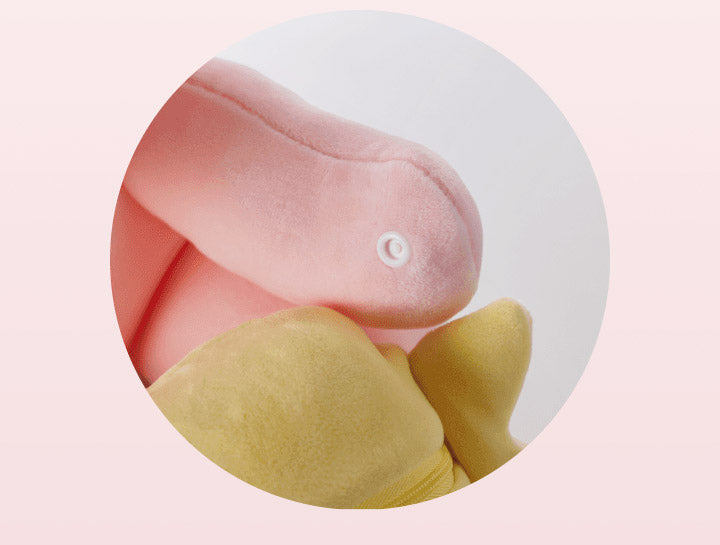 SEVENTEEN [JEONGHAN]  Artist-Made Collection   [Lamp, Pluffy Option choose]