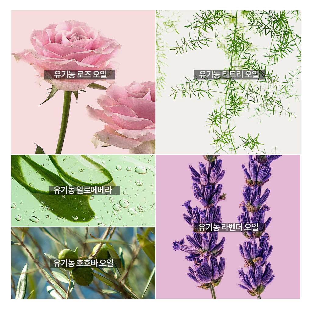 [USDA] TheAromaShop Organic Tea Tree Essence Emulsion 100ml