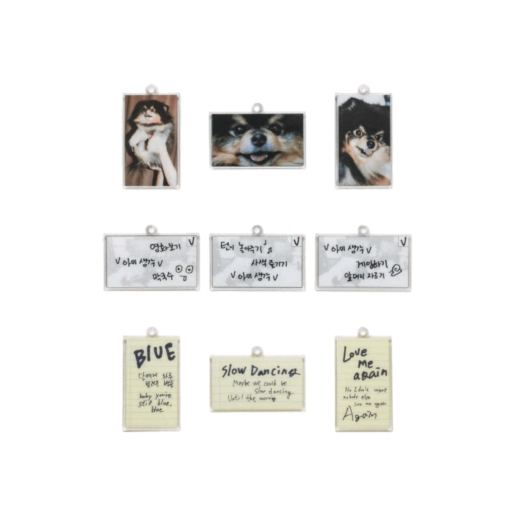 BTS - V - LAYOVER KEYRING SET