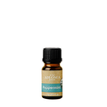 Peppermint Essential Oil