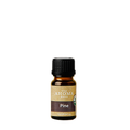 Pine Essential Oil