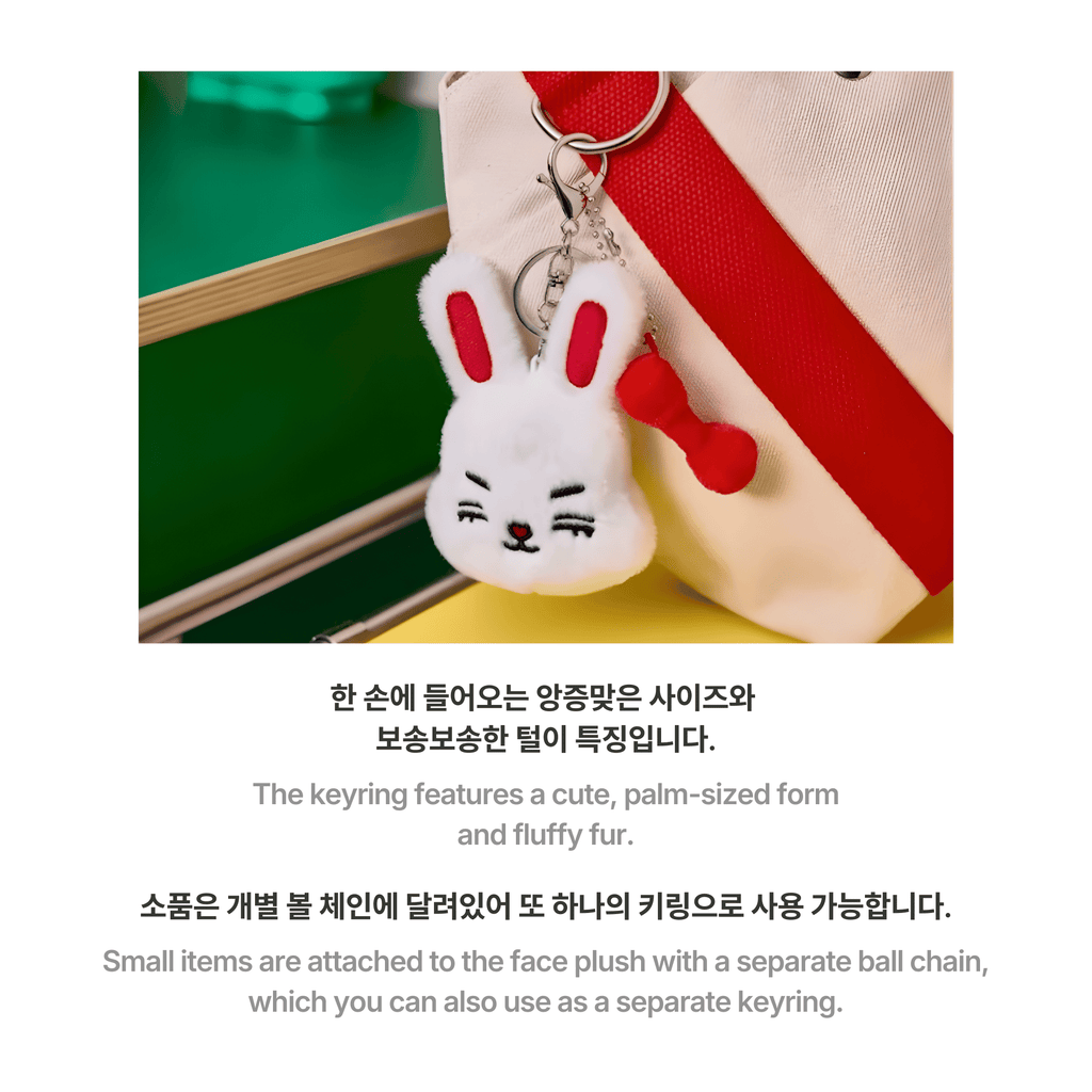 SEVENTEEN - MINITEEN - FACE KEYRING