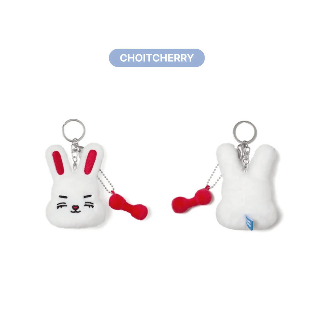 SEVENTEEN - MINITEEN - FACE KEYRING