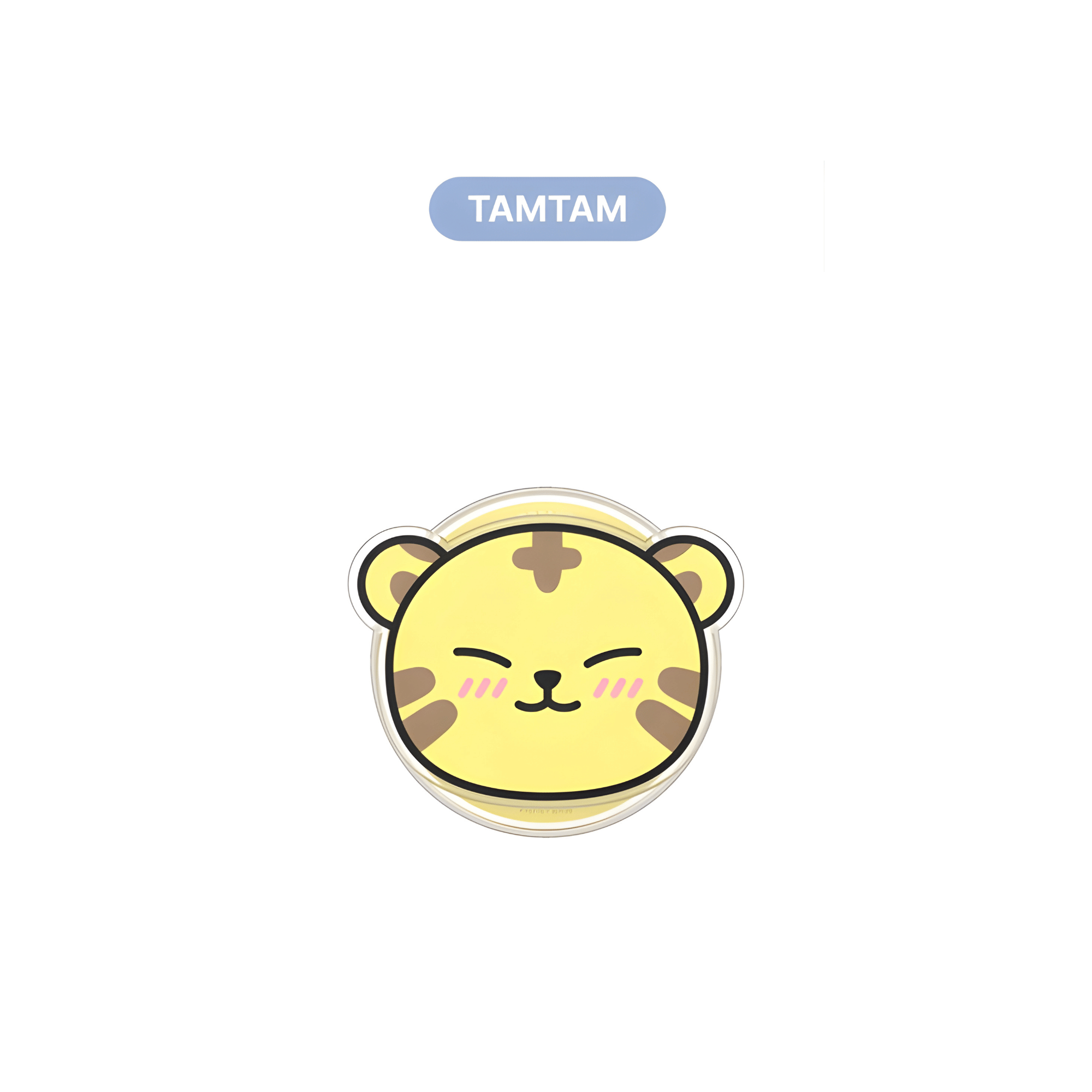 SEVENTEEN - MINITEEN - SMART TOK