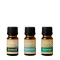 THE AROMA SHOP - ENERGY GIFT SET