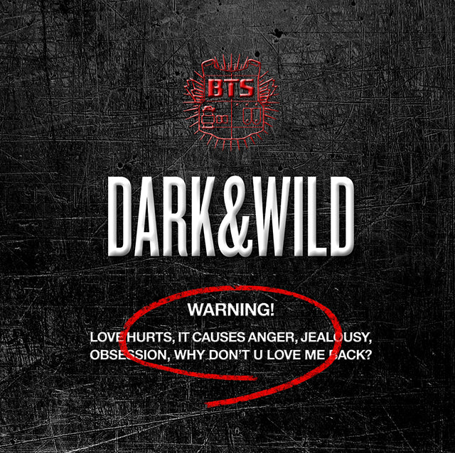 BTS - DARK AND WILD