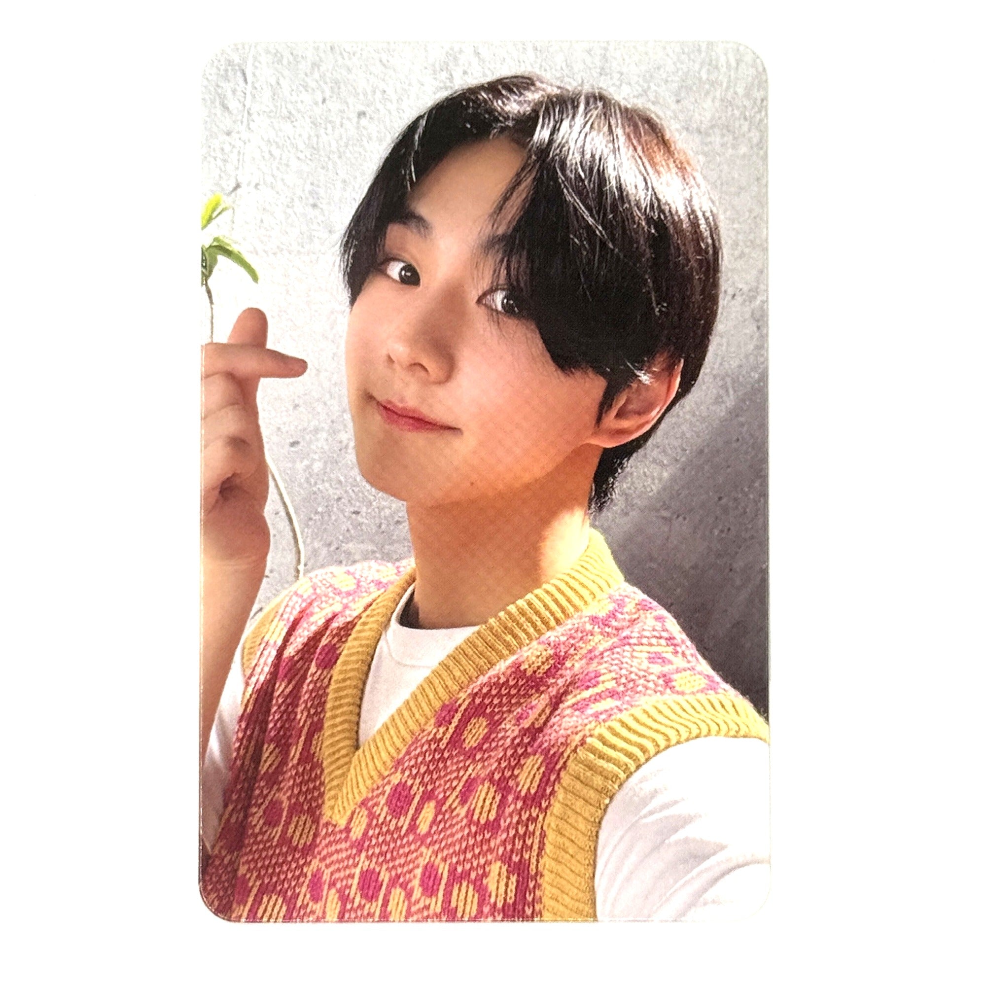 enhypen-jungwon-photocard-dilemma
