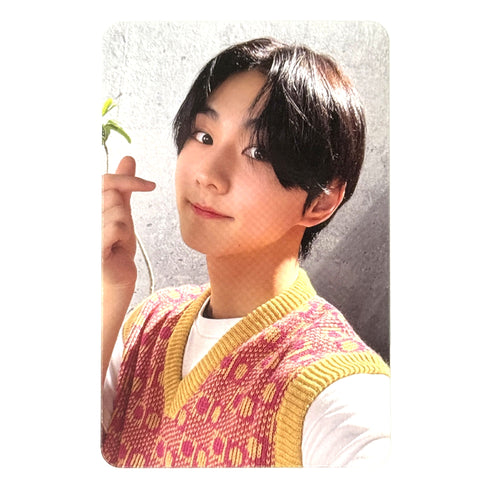 enhypen-jungwon-photocard-dilemma