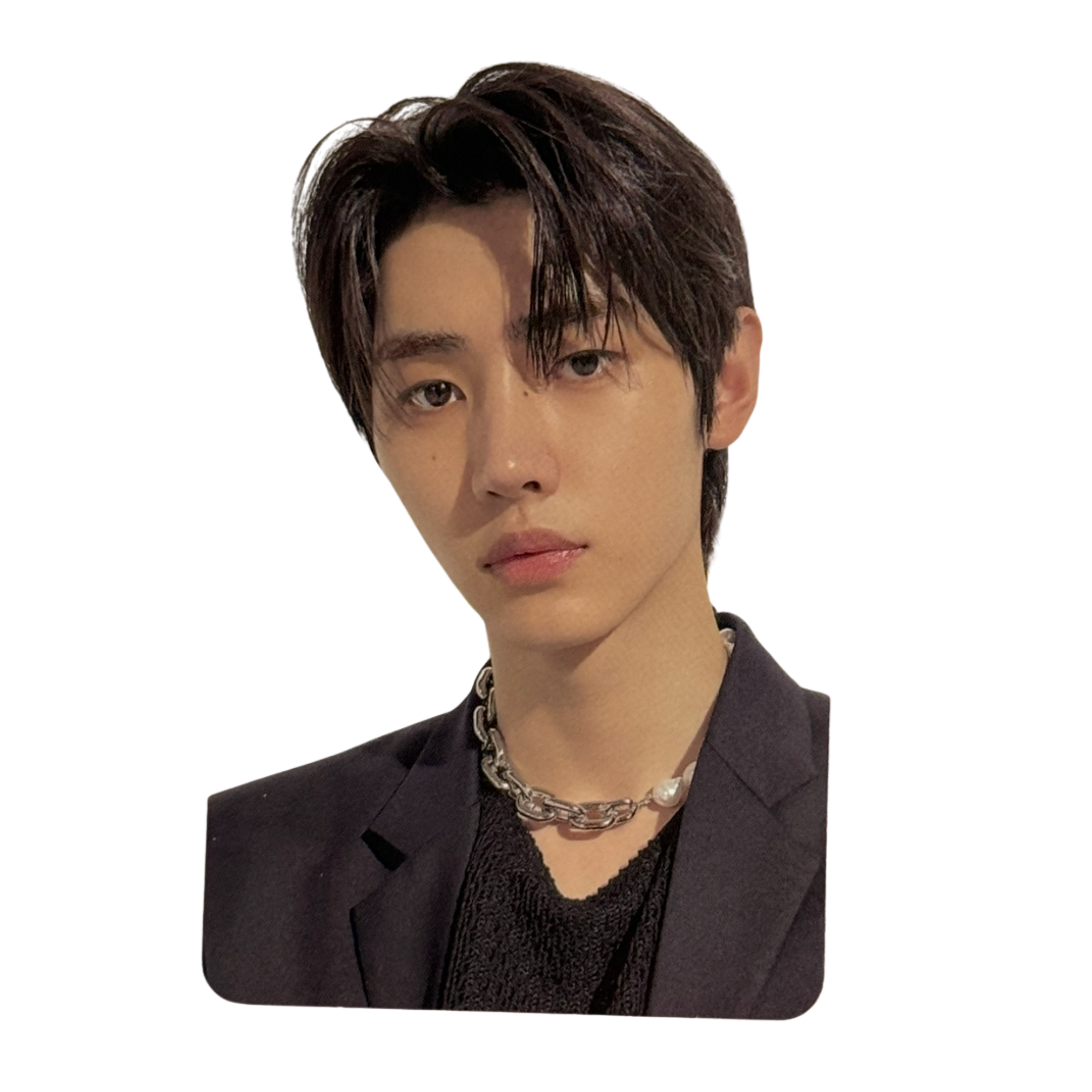 Enhypen Photocard: Sunghoon #2
